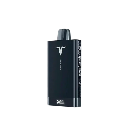 IGNITE V250 Icy Mint (25.00puffs)